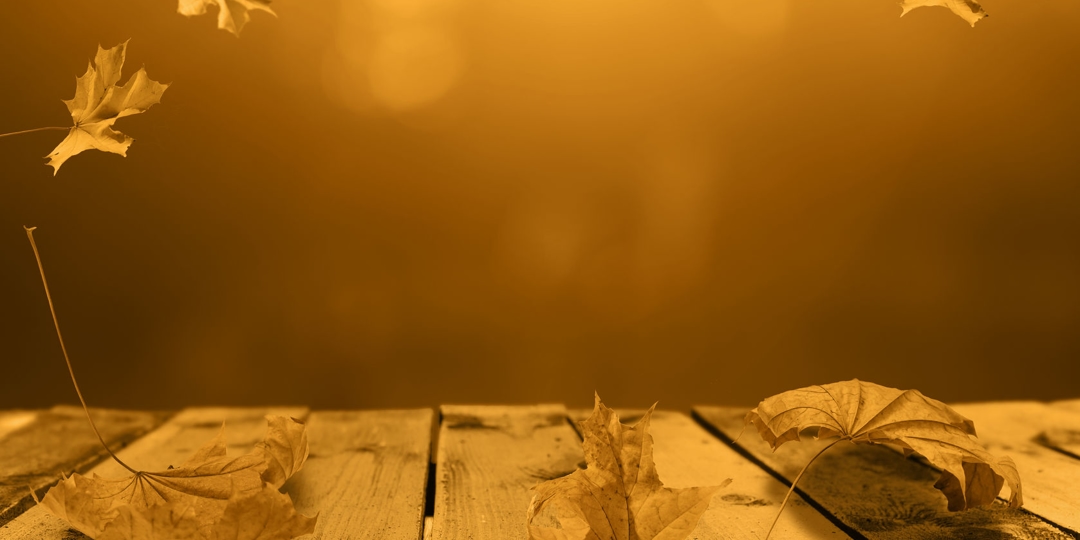 Bakground made of autumn brown and orange leaves