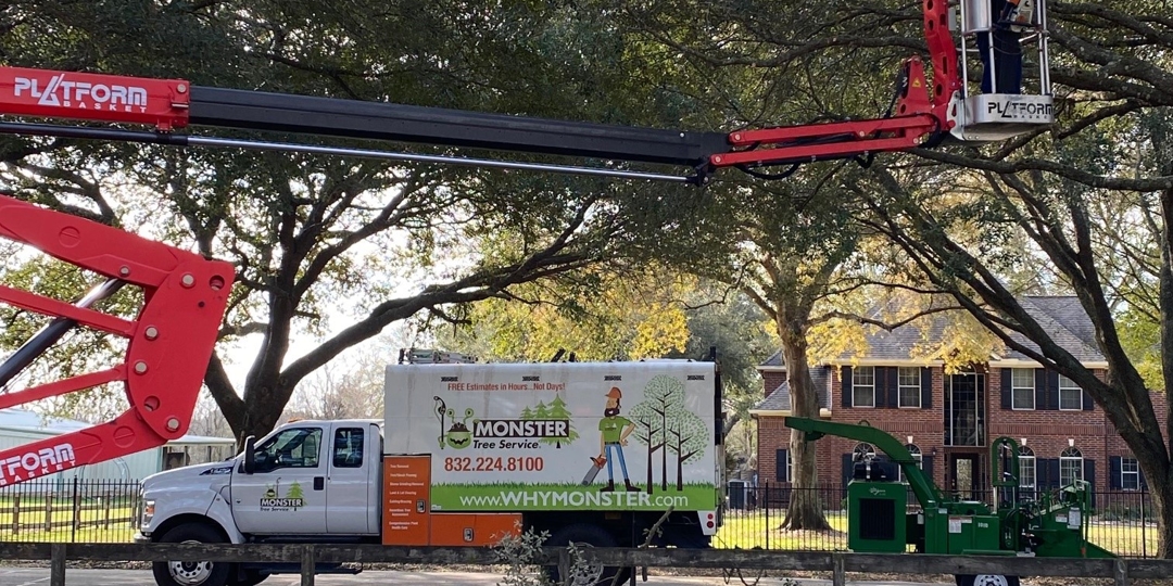 Monster Tree Service Image