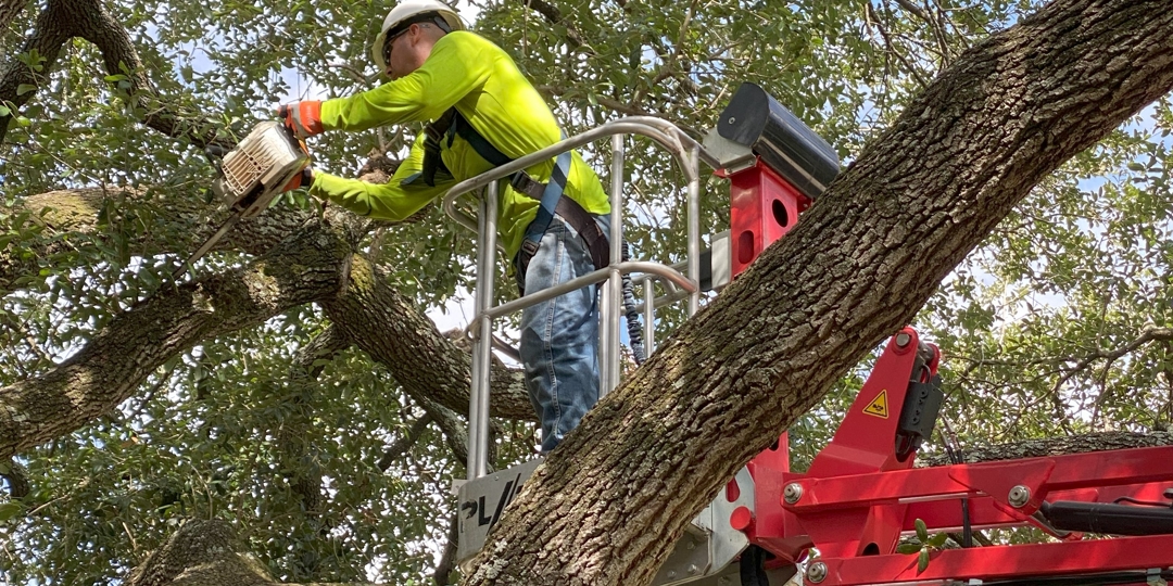 Monster Tree Service Image