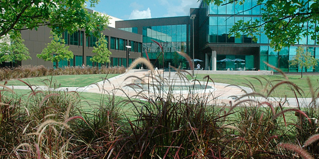 University Of Houston