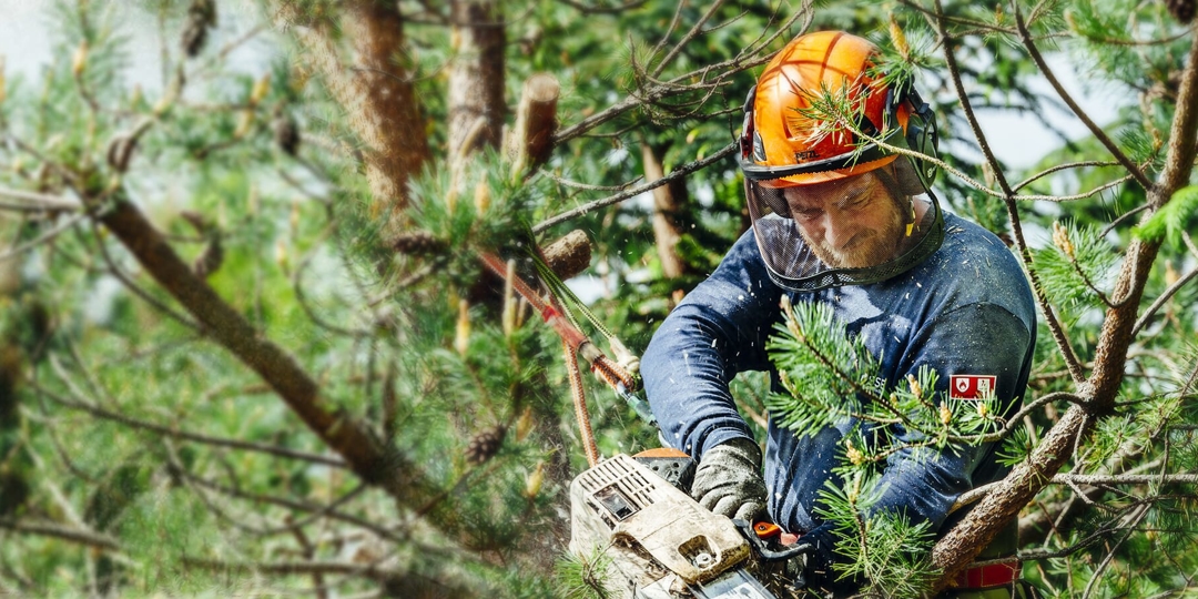 Monster Tree Service