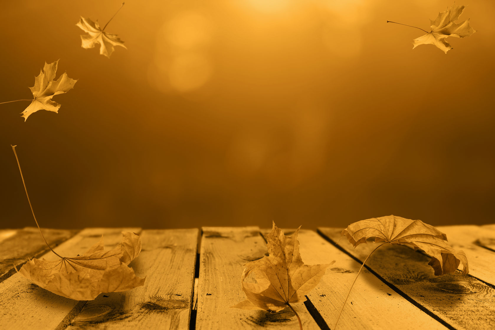 The Ultimate Guide to Oak Wilt Treatment, Symptoms, and Prevention in North Pittsburgh