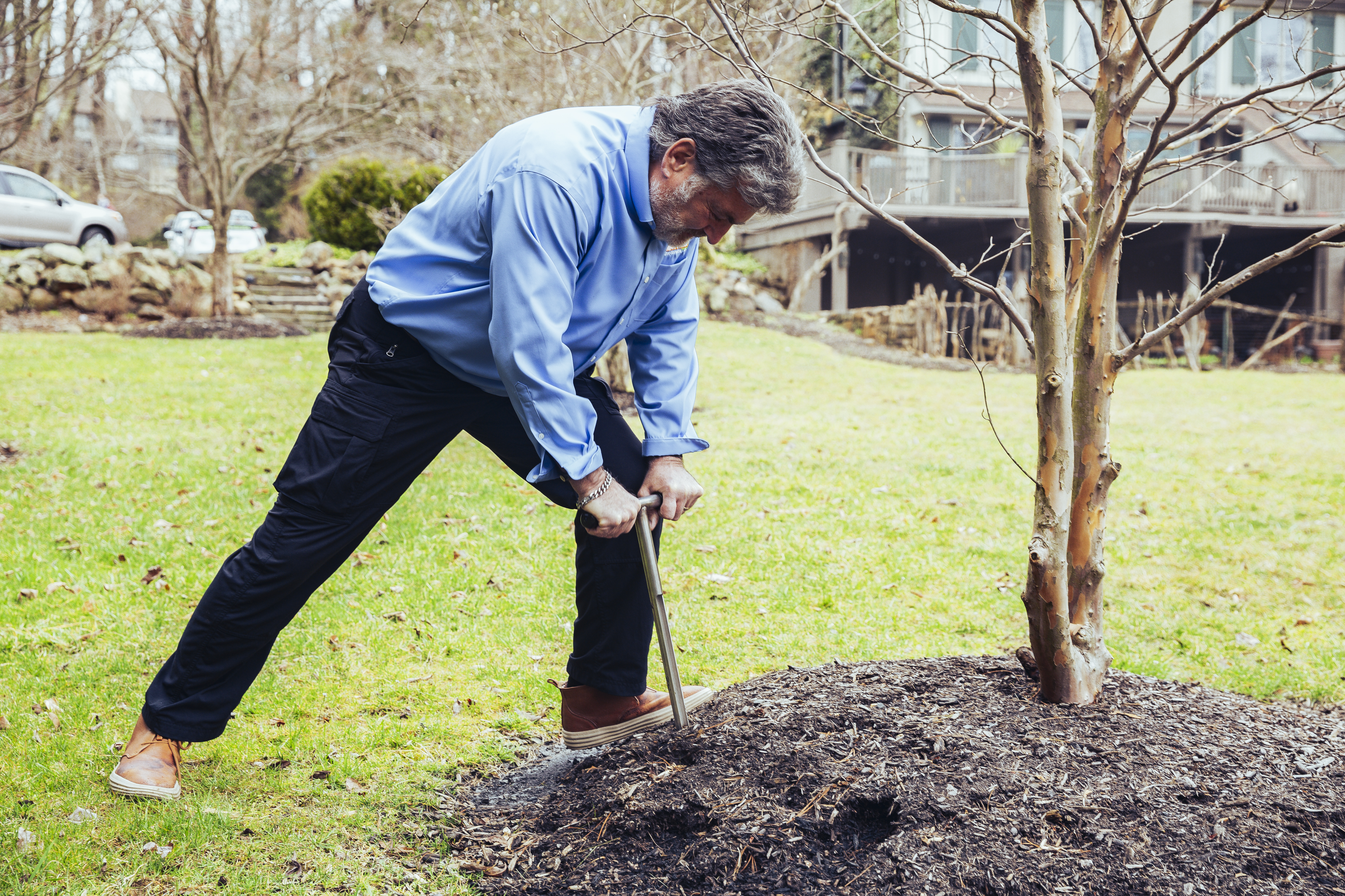 How Does Soil Work – Digging into the Soil Tree Relationship