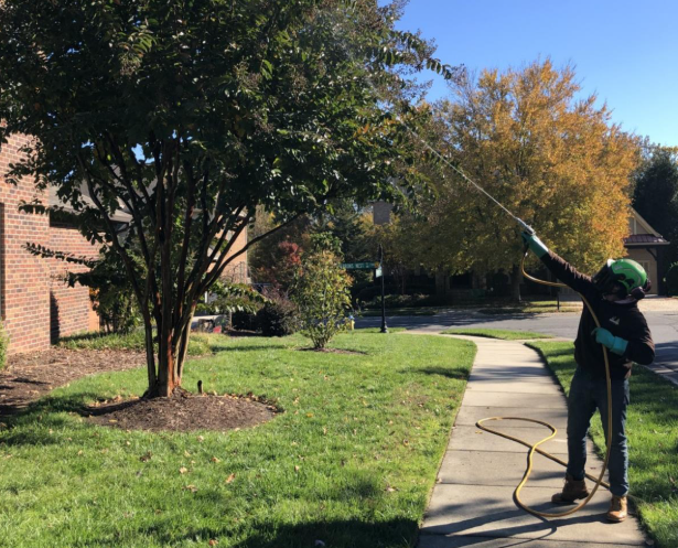 The Holistic Benefits of Horticultural Oil for Pest Management