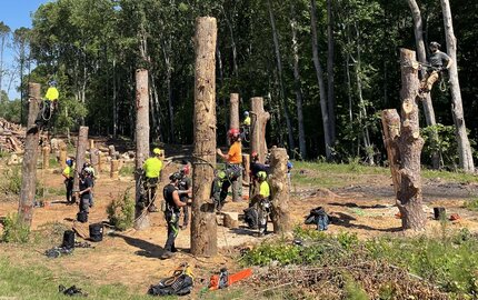 Monster Tree Service of Greenville County arborists climbing and rigging during a tree removal project in Upstate South Carolina