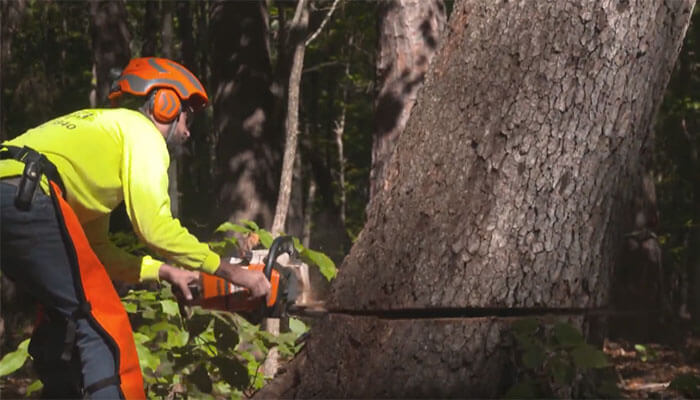 Discover the Hidden Gems of Hilton Head: A Homeowner's Paradise