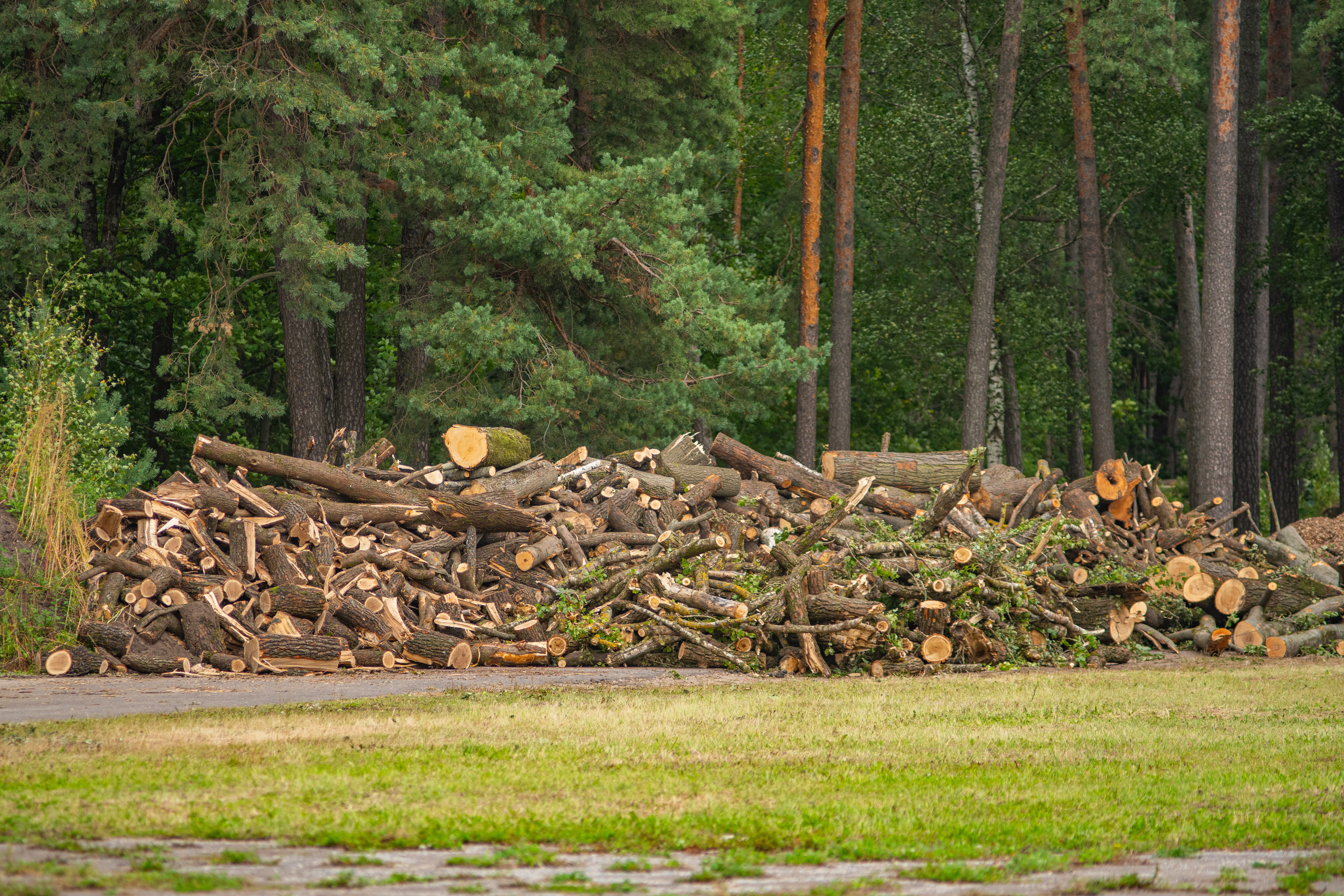 Land Clearing for New Construction: Best Practices in Northwest Houston